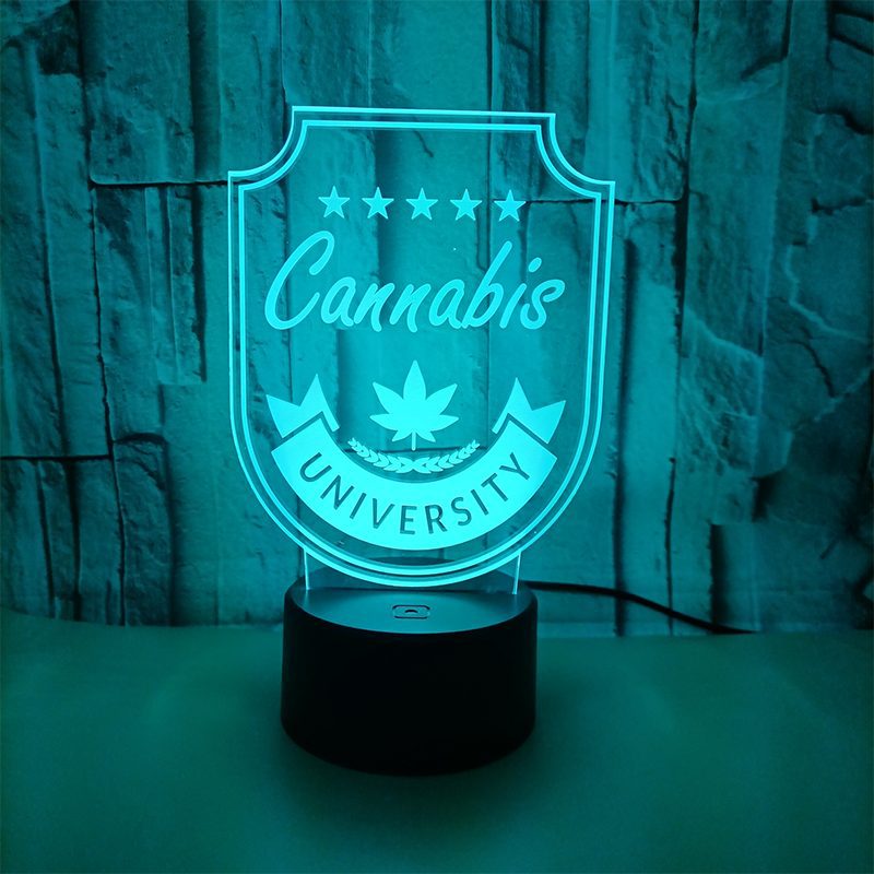 Acrylic Holographic LED Night Lights